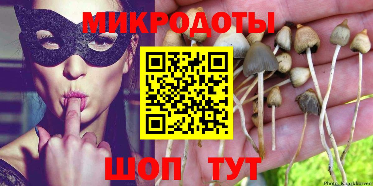 Сунжа  Галлюциногенные грибы ЛСД  Вход с VPN  Псилоцибиновые грибы Magic Shrooms 