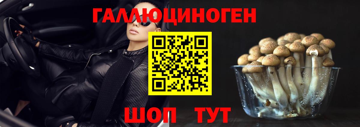 Галлюциногенные грибы мухоморы Сунжа